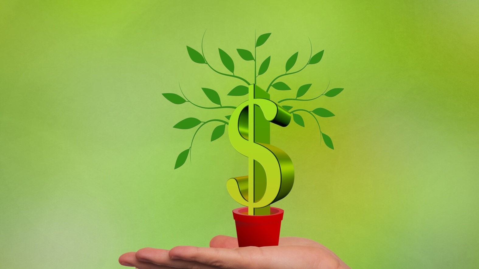 Quarterly Telescope 1Q20