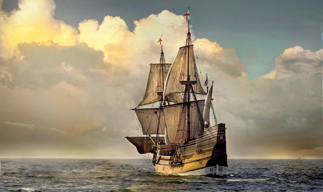 Quarterly Telescope 2Q20